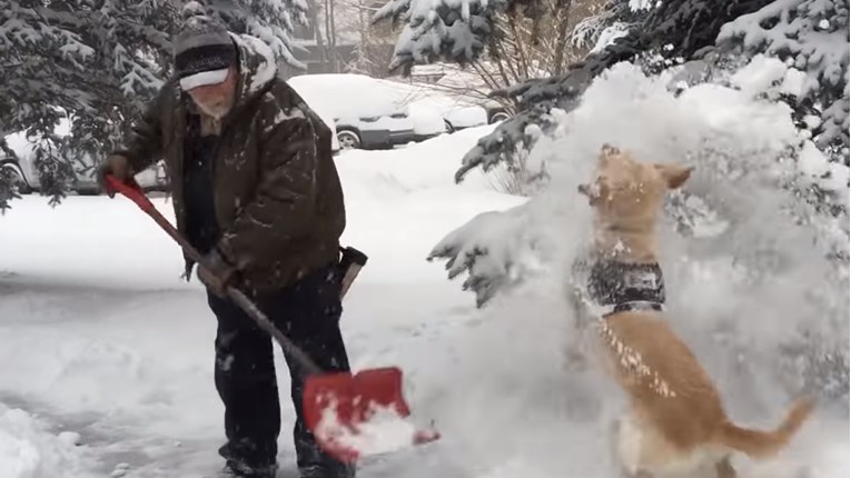VIDEO Ljubimci i zimske radosti nam uvijek donose zabavu